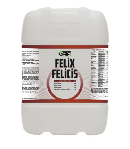 FELİX FELİCİS